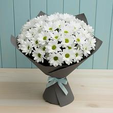 Букет цветов из:  Хризантемы #REPLACE_PRED# Татищево