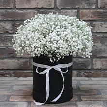 Цветочная композиция из Гипсофила в шляпной коробке в Татищево